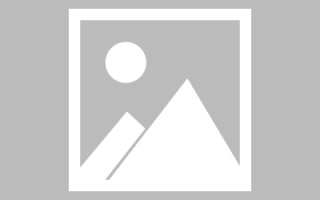 舟山免编程制作网站（免编程制作网站推荐）